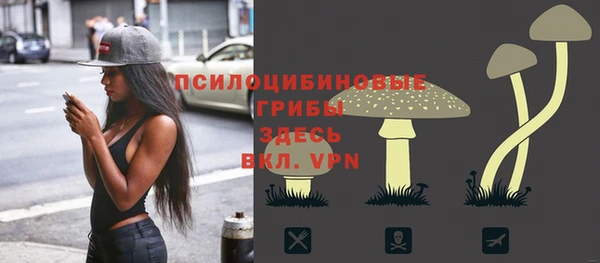каннабис Богданович