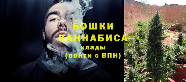 тгк Богородск